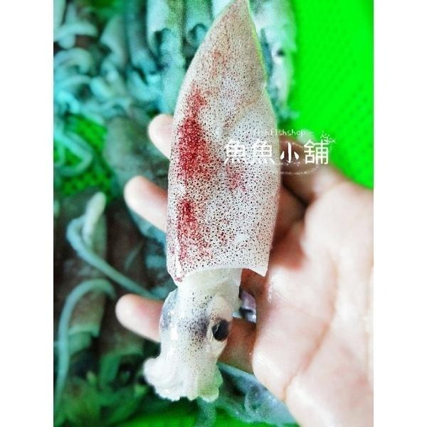 魚魚小舖 澎湖小卷  中卷 透抽 中卷切盤 現流 咪咪卷 一口卷 鮮甜-細節圖3