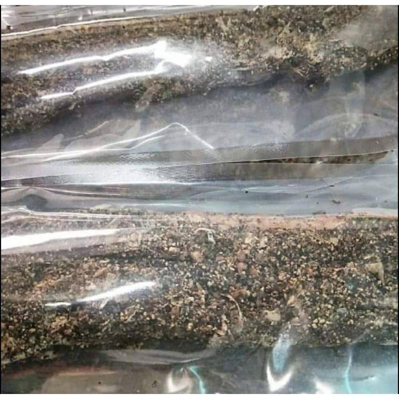 魚魚小舖 新上市 手作 古早味鹹豬肉 台灣黑豬肉 頂級黑胡椒香400g-細節圖5