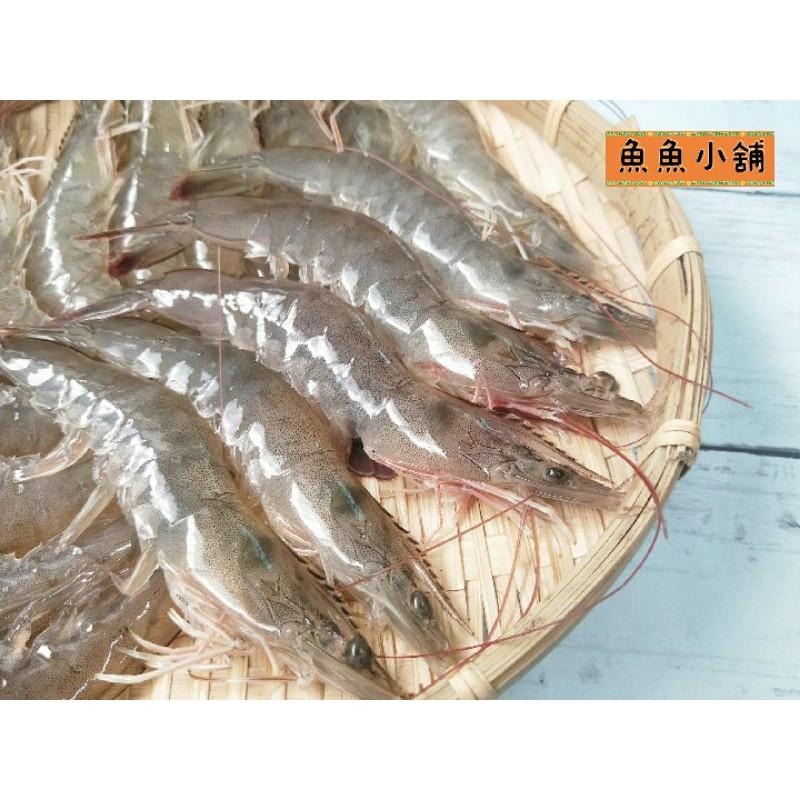 魚魚小舖 檢驗合格 台灣鹹水大白蝦 無毒蝦仁 SPA跑水無腸泥 自產自銷-細節圖3