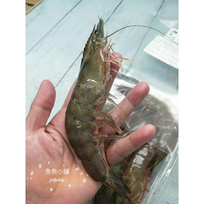 魚魚小舖 檢驗合格 台灣鹹水大白蝦 無毒蝦仁 SPA跑水無腸泥 自產自銷-細節圖2