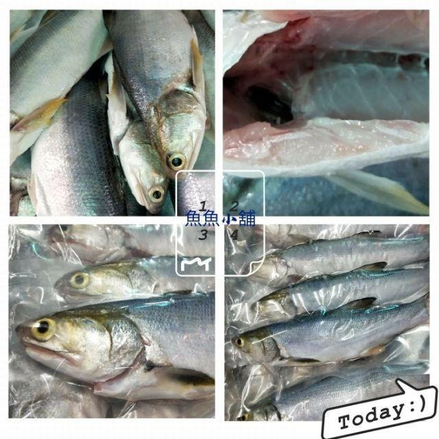 魚魚小舖 午仔魚-細節圖4