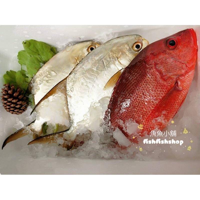 魚魚小舖 檢驗合格 午仔魚 龍虎石斑 黃金鯧 紅魚 鱸魚 午仔一夜干-細節圖2