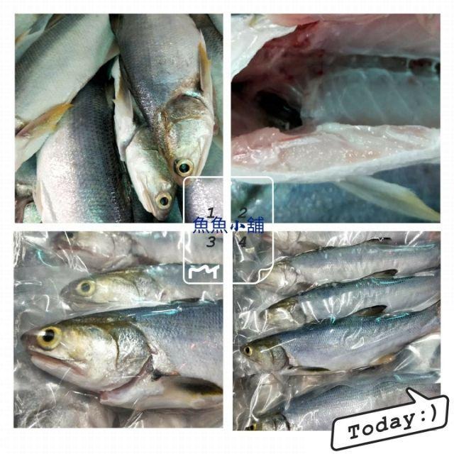 魚魚小舖 檢驗合格 午仔魚 龍虎石斑 黃金鯧 紅魚 鱸魚 午仔一夜干-細節圖6