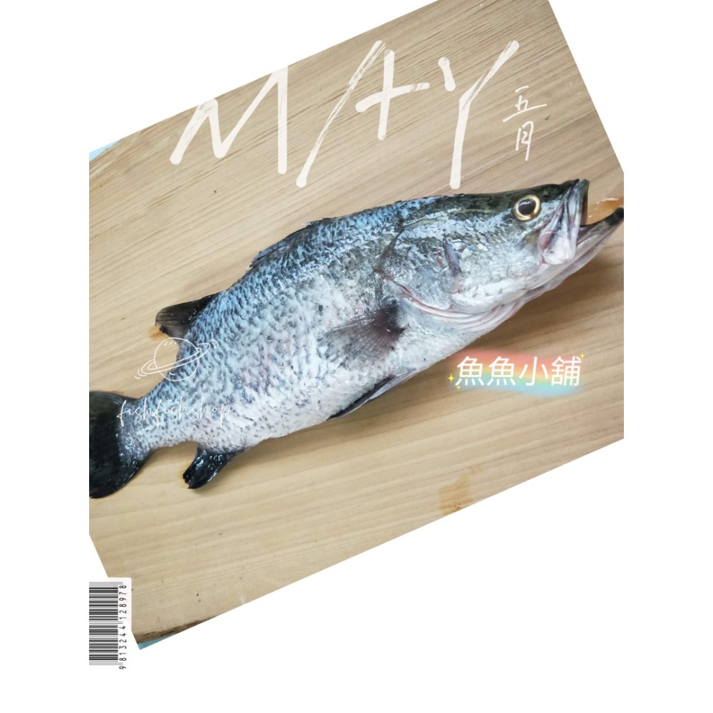 魚魚小舖 檢驗合格 午仔魚 龍虎石斑 黃金鯧 紅魚 鱸魚 午仔一夜干-規格圖9