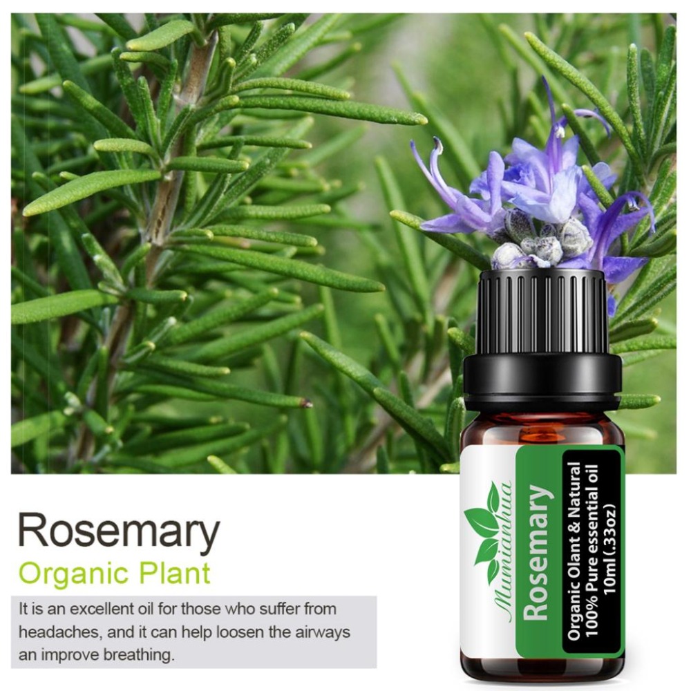 【Mumianhua木棉花】迷迭香(Rosemary) 精油 台灣代理現貨 100%天然植物萃取 擴香掛瓶 吊墜-細節圖6