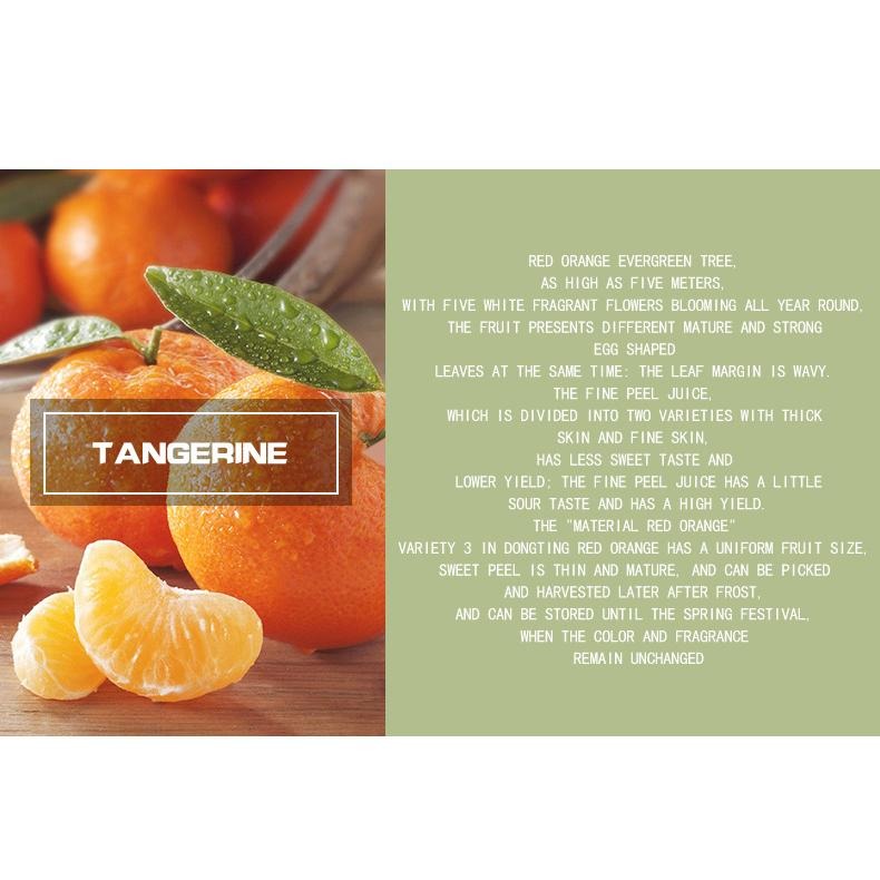 【Mumianhua木棉花】紅桔(Tangerine) 精油 台灣代理現貨 100%天然植物萃取 擴香掛瓶 吊墜-細節圖7