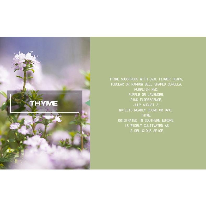 【Mumianhua木棉花】百里香(Thyme) 精油 台灣代理現貨 100%天然植物萃取 擴香掛瓶 吊墜-細節圖7