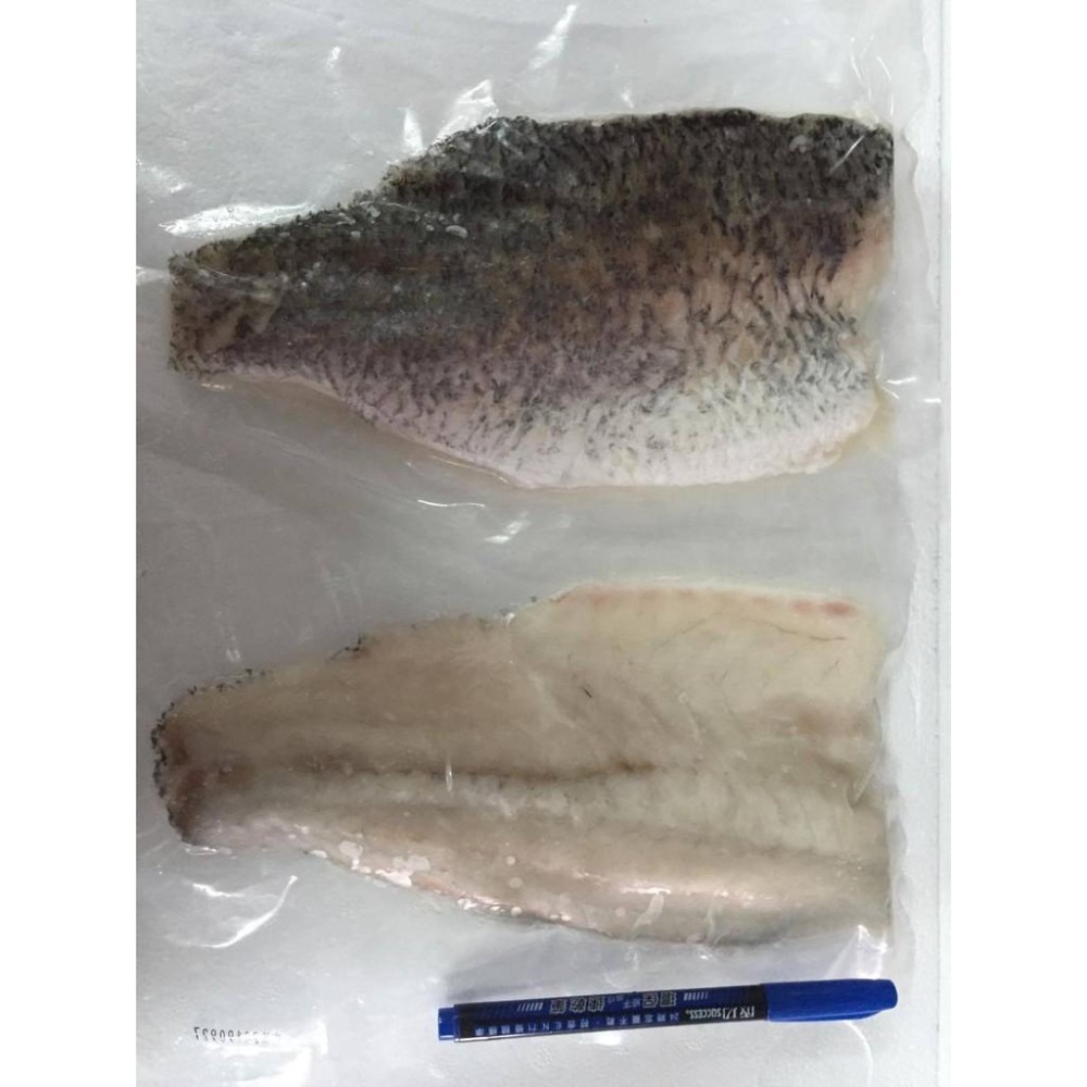 鮮嫩無刺鱸魚清肉 鱸魚排 補身必備 200-300g/片 真空包裝-細節圖3