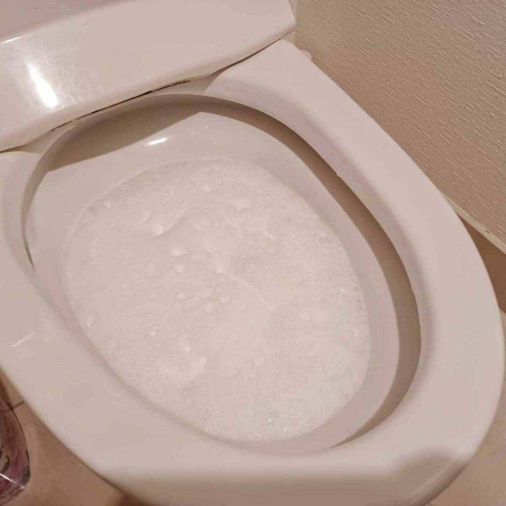 EARTH地球製藥 馬桶起泡清潔粉/180g-細節圖5