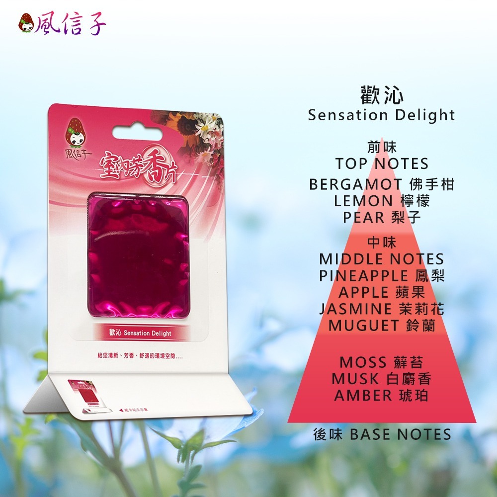 〔現貨〕風信子 室內芳香片6款10ml 室內芳香 浴廁芳香 車用芳香 清新芳香 消臭 除臭片-細節圖7