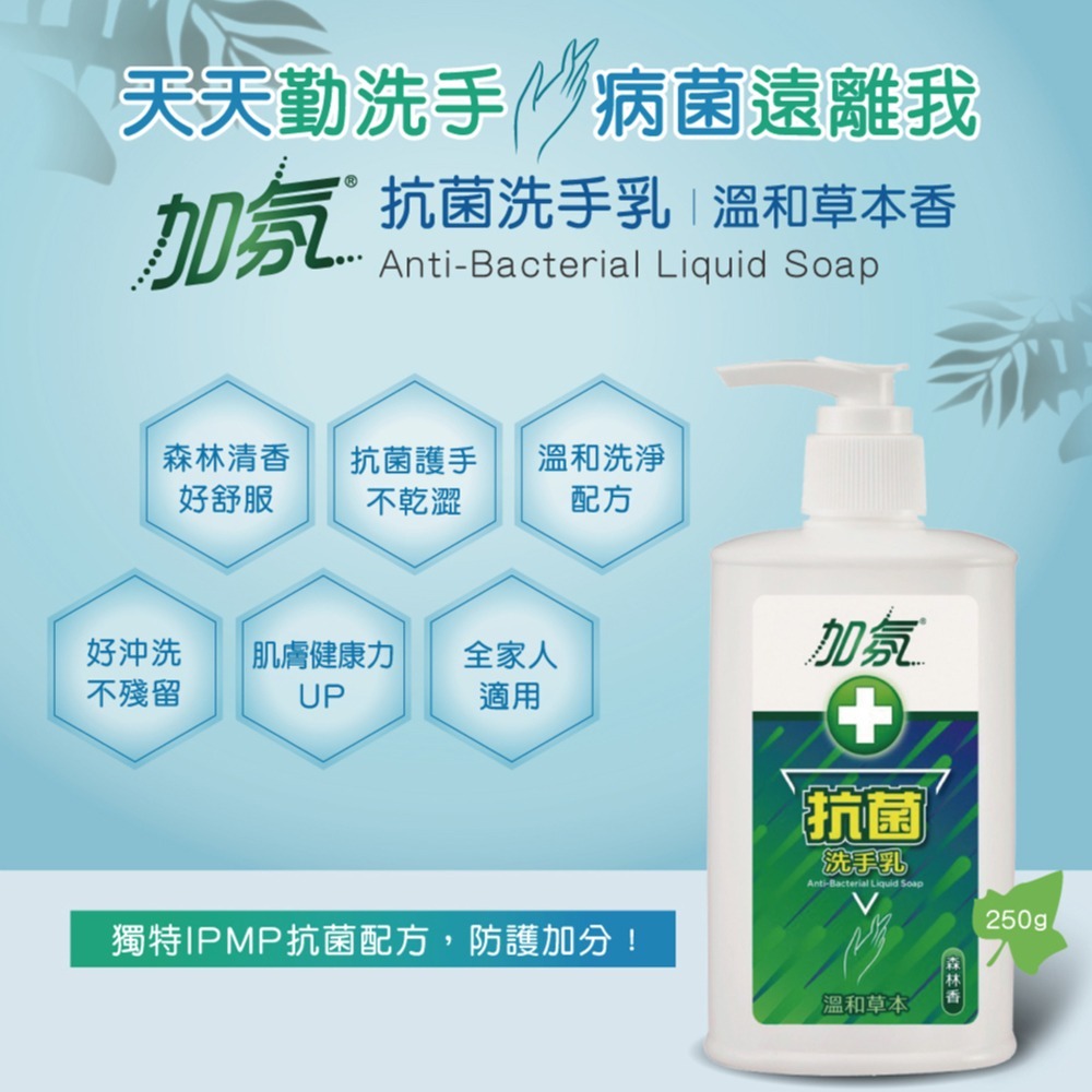 〔現貨〕 台灣製造 加氛抗菌洗手乳250g 森林香 耐斯企業 溫和草本 抗菌配方 洗手乳-細節圖2