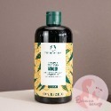 現貨 The body shop 薑根鏗活調理洗髮精 茶樹淨化洗髮精 400ml 生薑洗髮精 茶樹洗髮精 美體小舖 洗髮-規格圖4