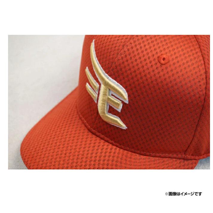 樂天金鷹 TOHOKU PRIDE 2025 球帽-細節圖5