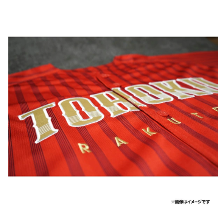 樂天金鷹 TOHOKU PRIDE 2025 有背號球衣-細節圖4