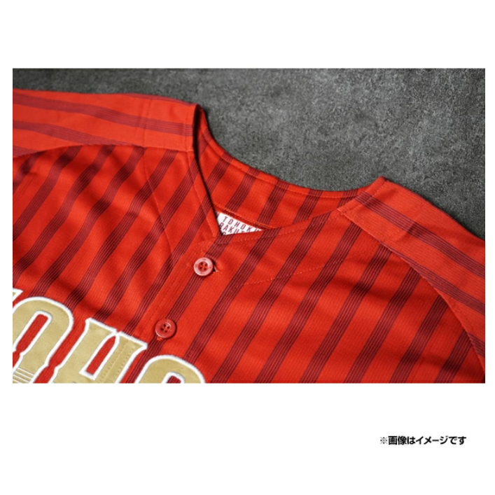 樂天金鷹 TOHOKU PRIDE 2025 有背號球衣-細節圖5