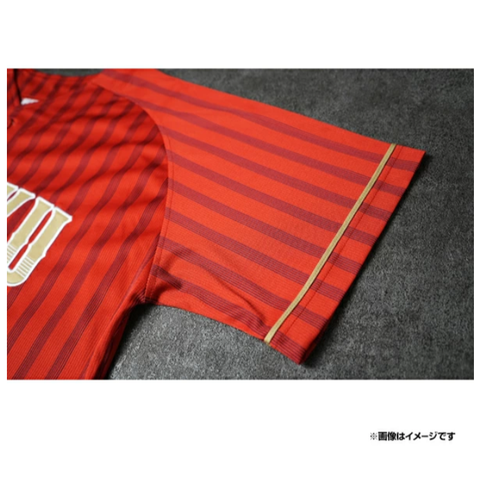 樂天金鷹 TOHOKU PRIDE 2025 有背號球衣-細節圖6