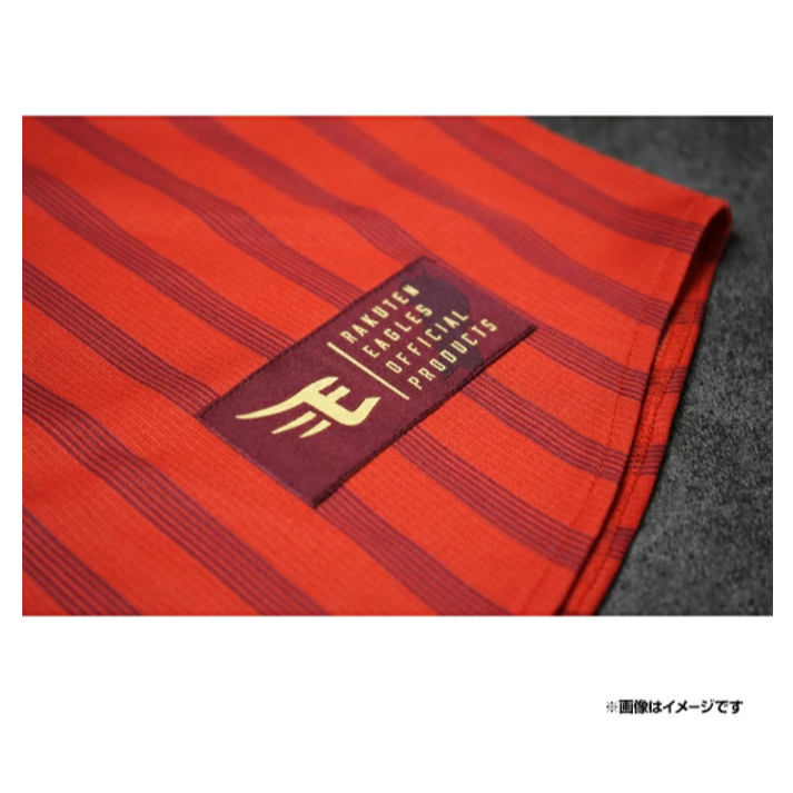 樂天金鷹 TOHOKU PRIDE 2025 有背號球衣-細節圖7