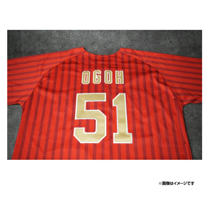 樂天金鷹 TOHOKU PRIDE 2025 有背號球衣-細節圖8