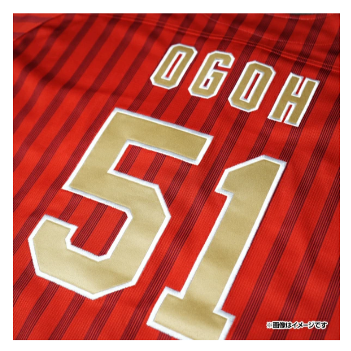 樂天金鷹 TOHOKU PRIDE 2025 有背號球衣-細節圖9