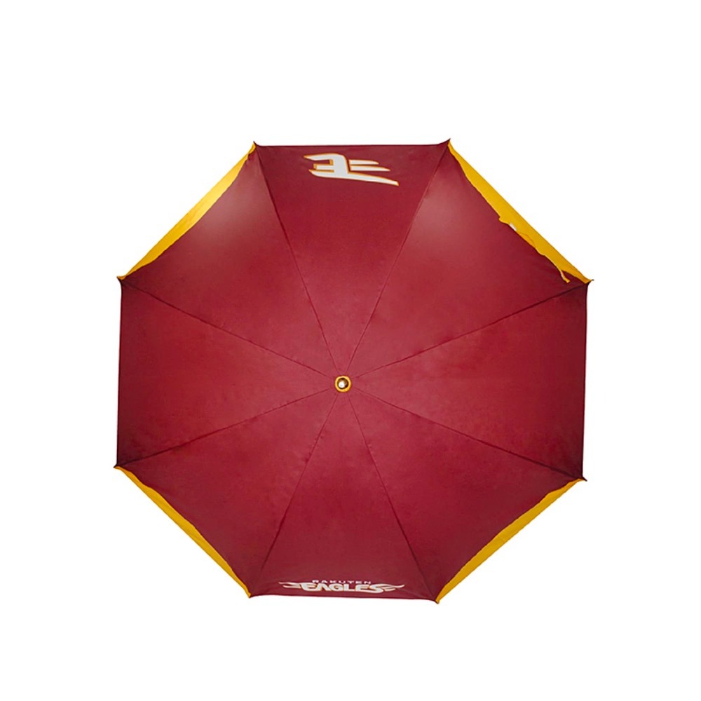 樂天金鷹 應援傘-細節圖3