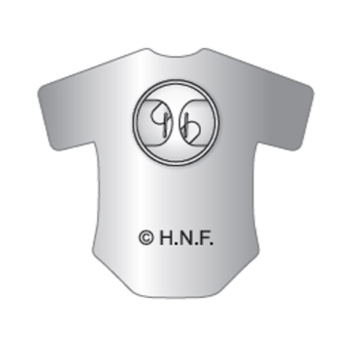 北海道火腿鬥士 2025 ES CON FIELD HOKKAIDO 球衣徽章-細節圖2