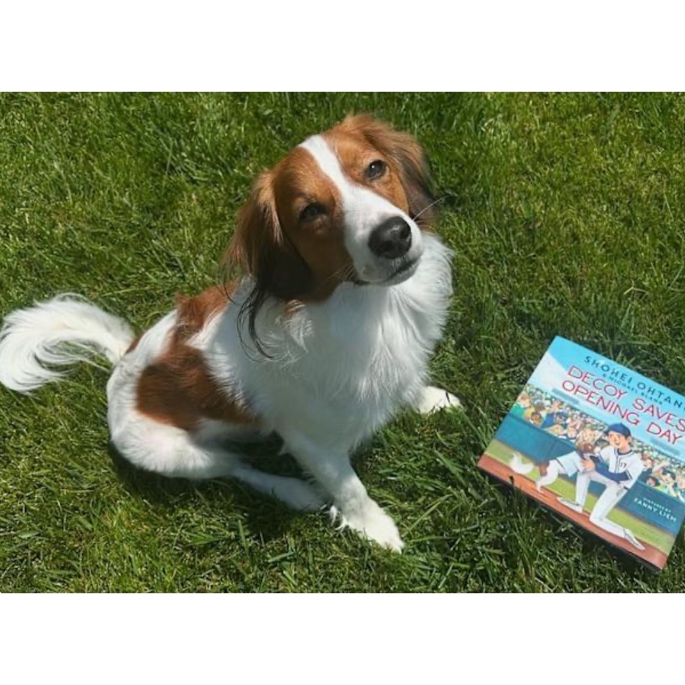 大谷翔平 Decoy兒童繪本-細節圖2