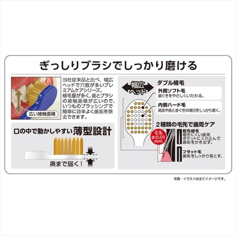 🔸現貨🔸日本製EBiSU惠百施牙刷 優質倍護 寬幅牙刷 細毛牙刷 軟毛牙刷 (隨機不挑色)-細節圖3