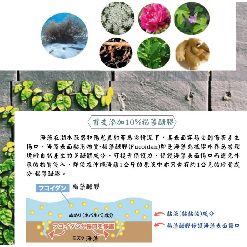 海之蜜 褐藻醣膠牙膏(天然素材 口腔牙齦 舒緩修復 預防口臭 牙齒亮白)日本原裝進口-細節圖3