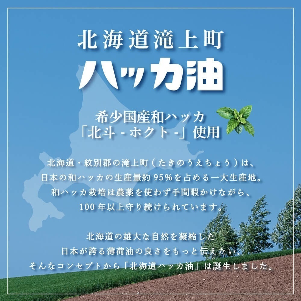 [閃購 2025.01.16 中午 12:00收單] 2025 日本生活百貨 季節限定北海道北見薄荷精油涼感護手霜-細節圖3