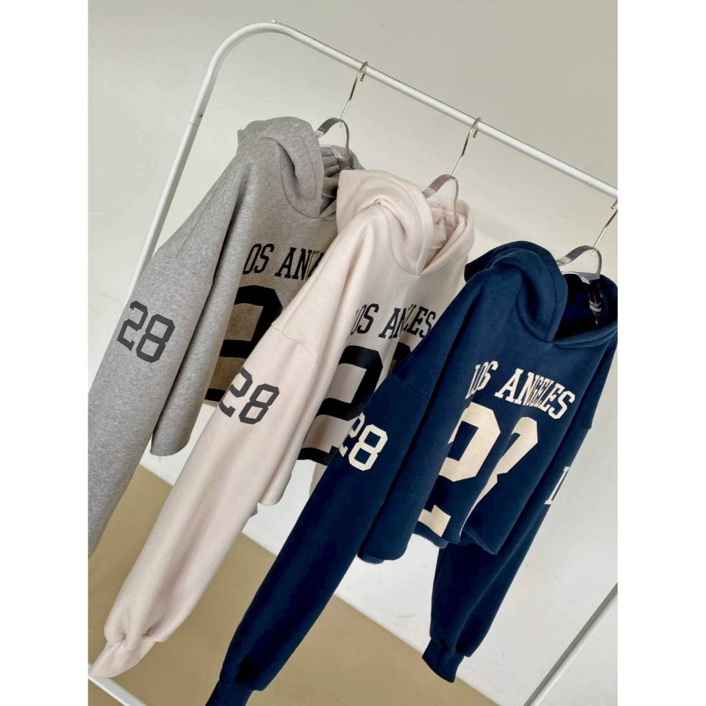 [預購 每周日中午 12:00收單] 2025 韓國 秋冬女裝  內刷毛短連帽上衣-規格圖5