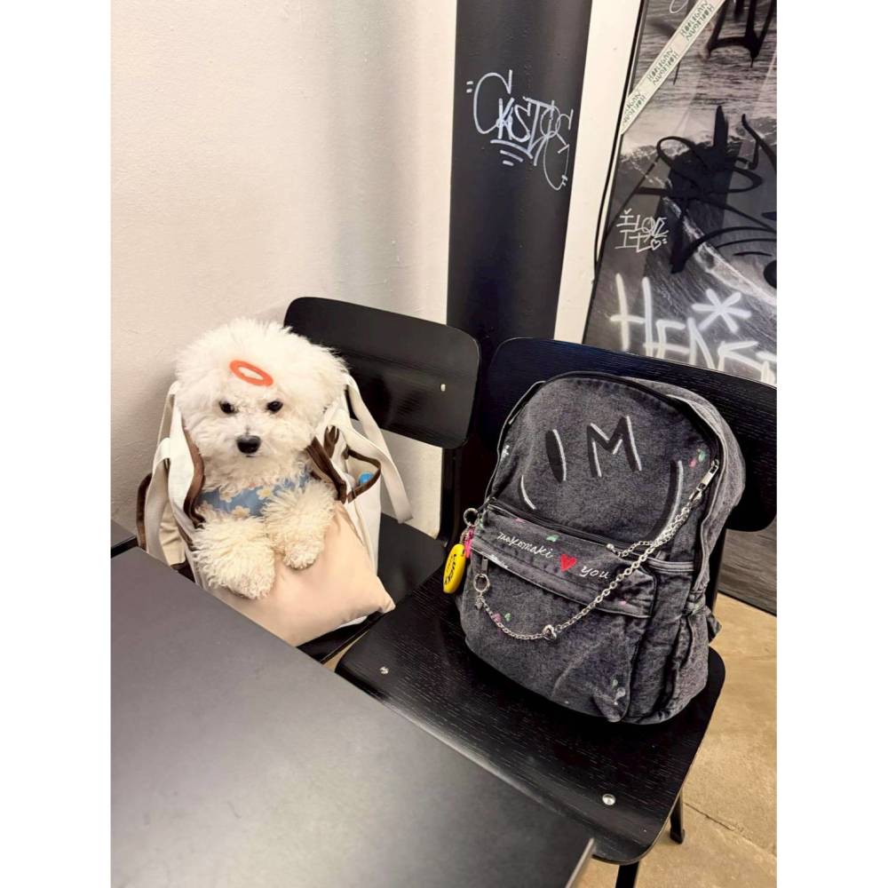[預購 每周日中午 12:0收單] 2026 韓國 時尚包包 手繪笑臉牛仔後背包-細節圖3