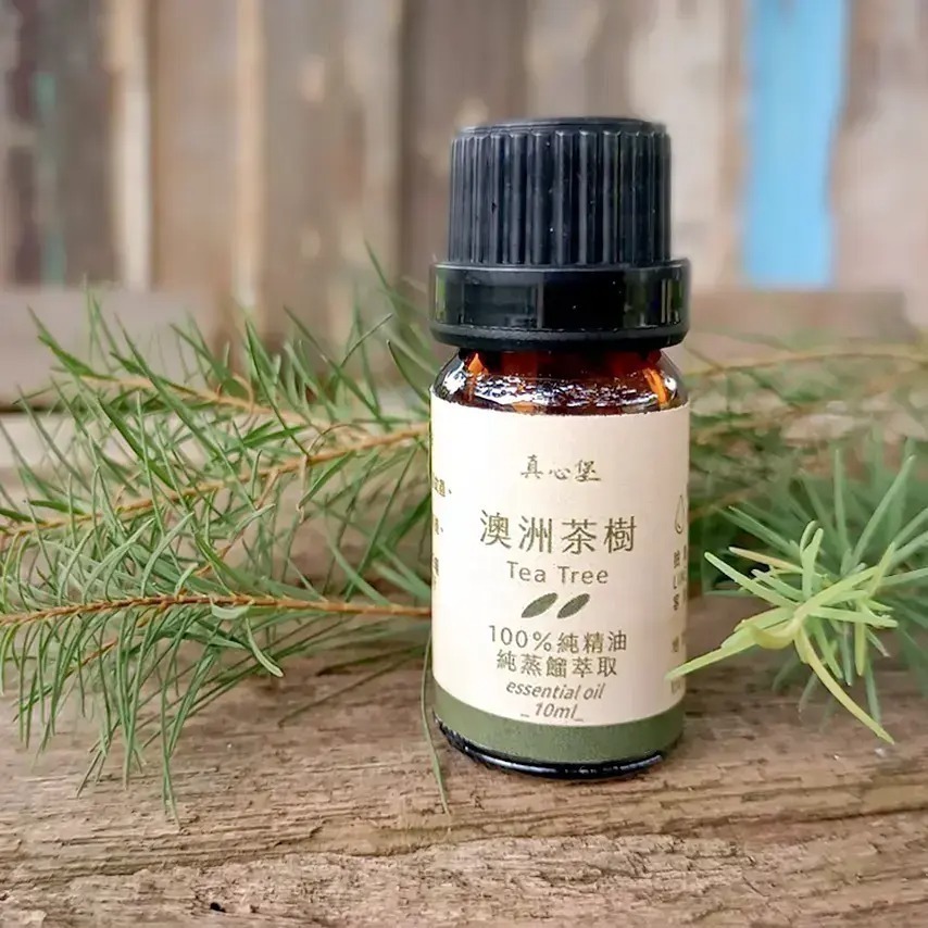 真心堡 精油系列🌿茶樹精油 紅檜精油 10ml/30ml-細節圖2