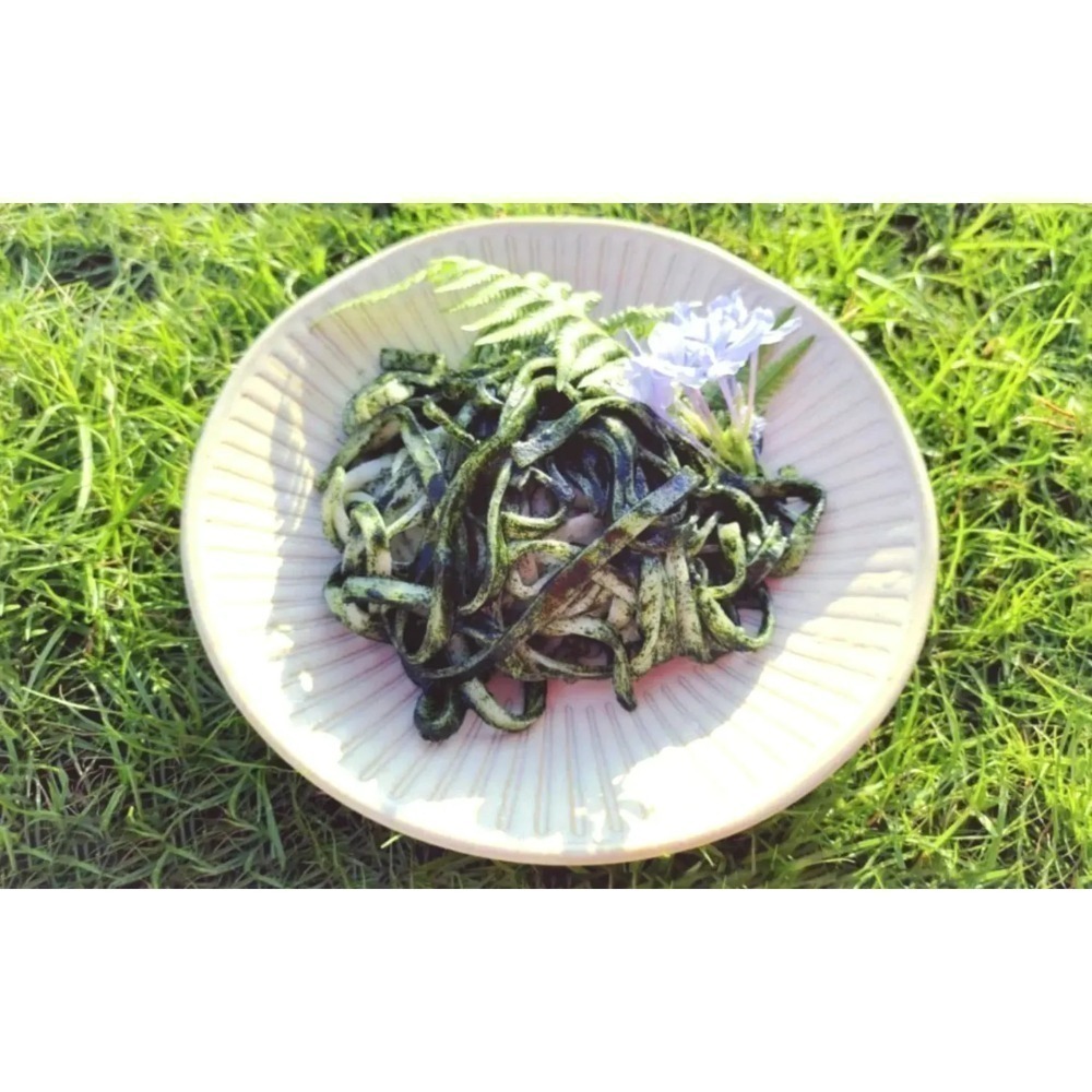 純綠藻粉 來自大自然的天然綜合維生素 全台唯一 日曬養殖！-細節圖3