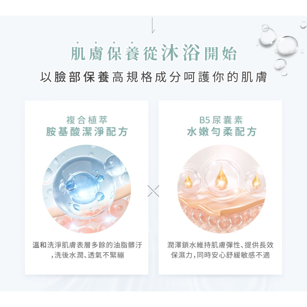 胺基酸沐浴慕斯 無香-細節圖4