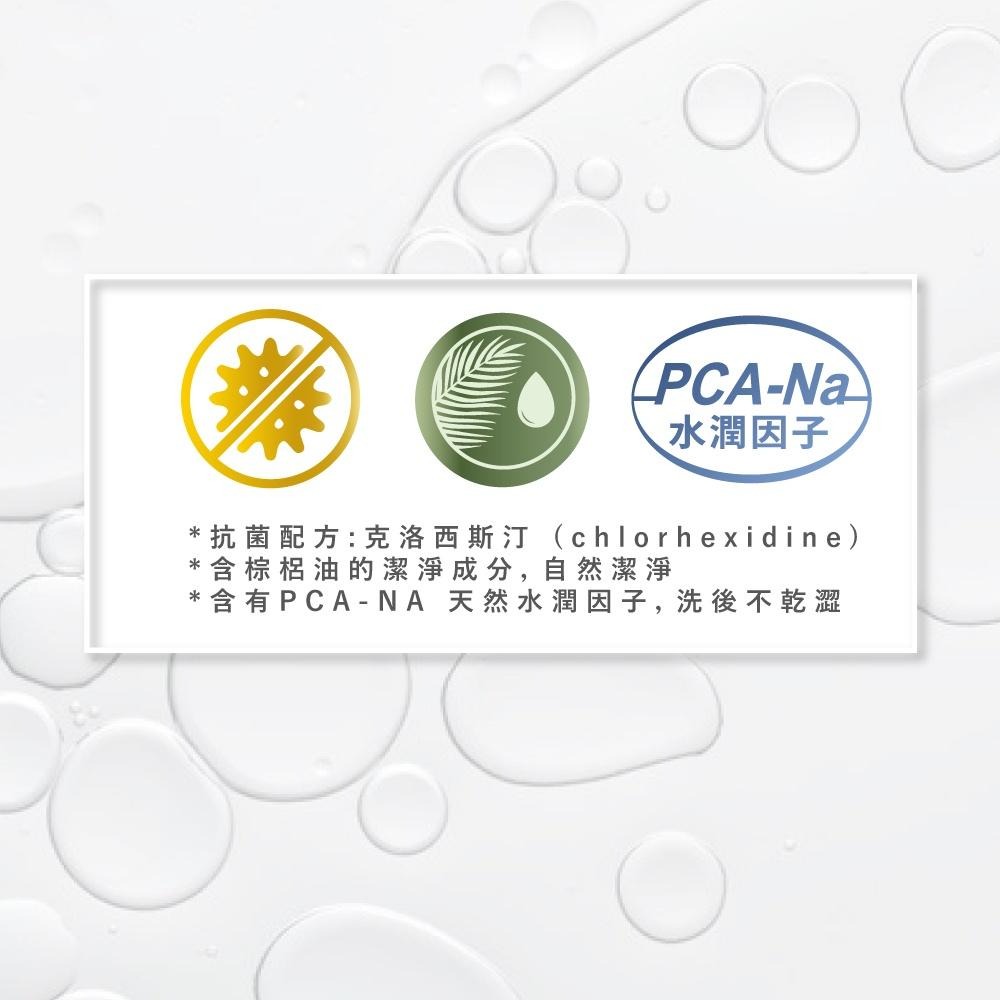 GREEN MOISTURE 水潤抗菌潔手乳加侖桶-朦朧之戀(綠茶)3800ml 洗手乳-細節圖7