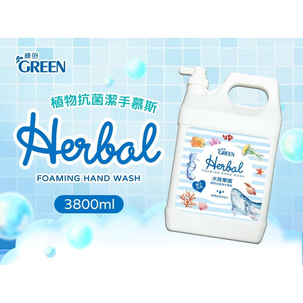 綠的GREEN 植物抗菌潔手慕斯加侖桶-3800ml (箱購) 洗手泡泡 洗手慕斯-細節圖2