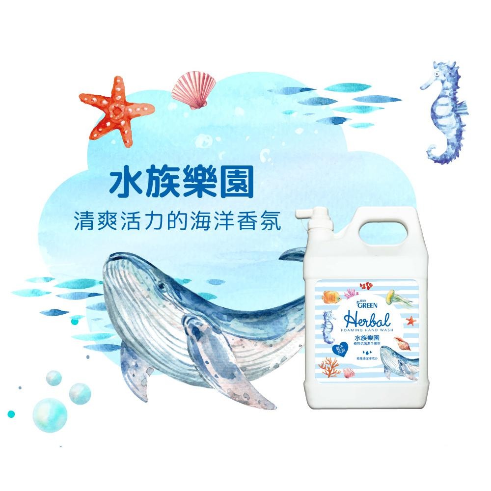 綠的GREEN 植物抗菌潔手慕斯加侖桶-3800ml (箱購) 洗手泡泡 洗手慕斯-細節圖4