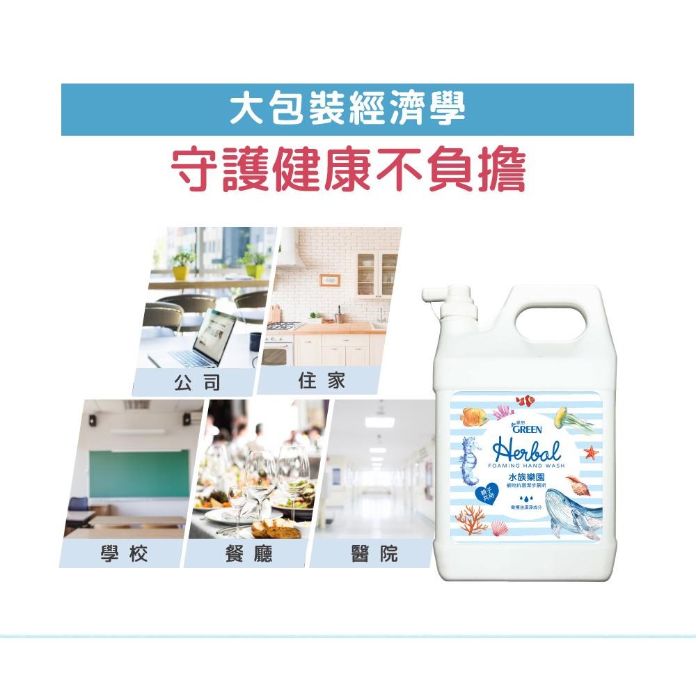 綠的GREEN 植物抗菌潔手慕斯加侖桶-3800ml (箱購) 洗手泡泡 洗手慕斯-細節圖6