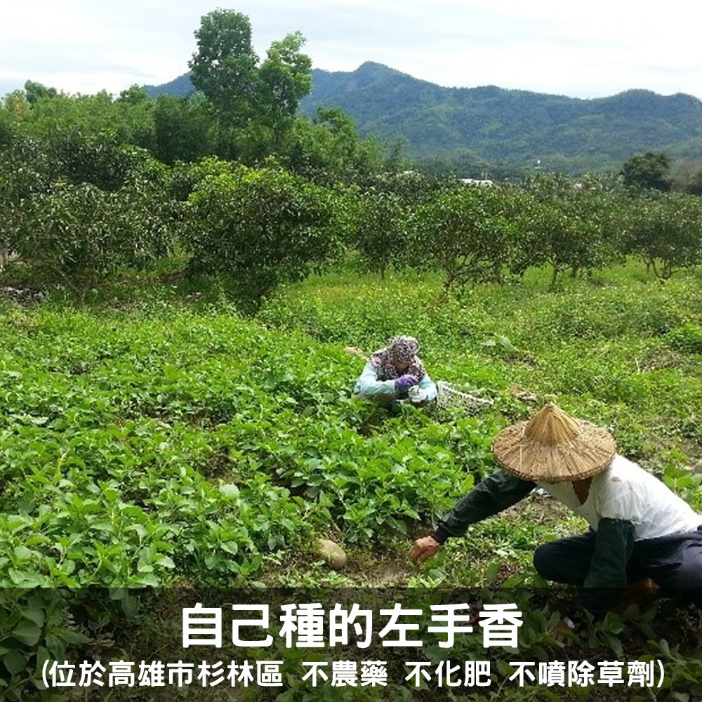 【左手香爺爺】台灣百念左手香牙膏  100g / 種出來的牙膏 / 無氟 / 植物萃取/無添加-細節圖2