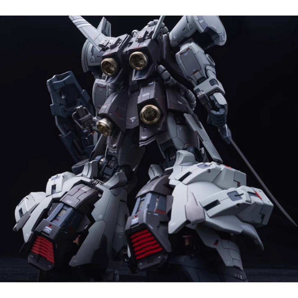 1/100 FLIGHT TYPE GOUF 飛行老虎 GK改套-細節圖3