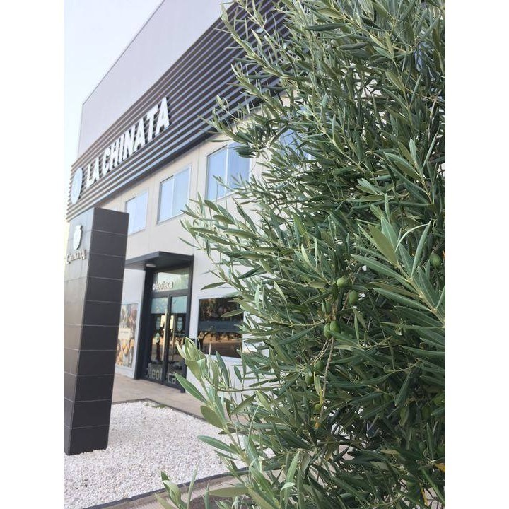 『現貨』西班牙 LA CHINATA 初榨橄欖油護手護甲霜 HAND & NAIL CREAM 75ml-細節圖8