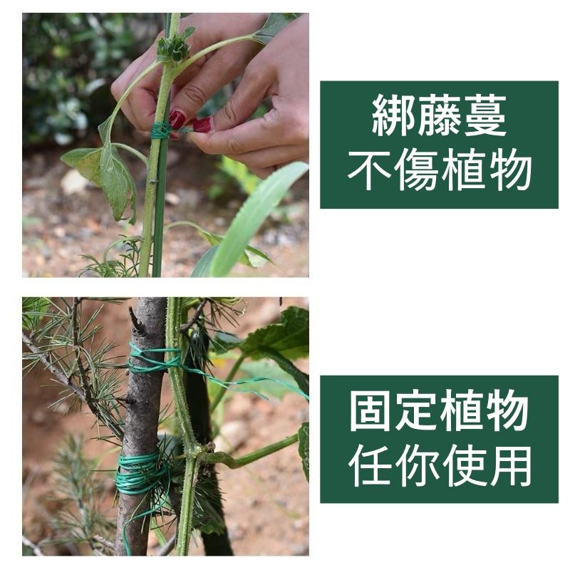 大信百貨》可裁剪園藝萬用扎線【50米 / 30米】植物固定 封口 包裝 園藝 多用途紮帶 園藝工具-細節圖3