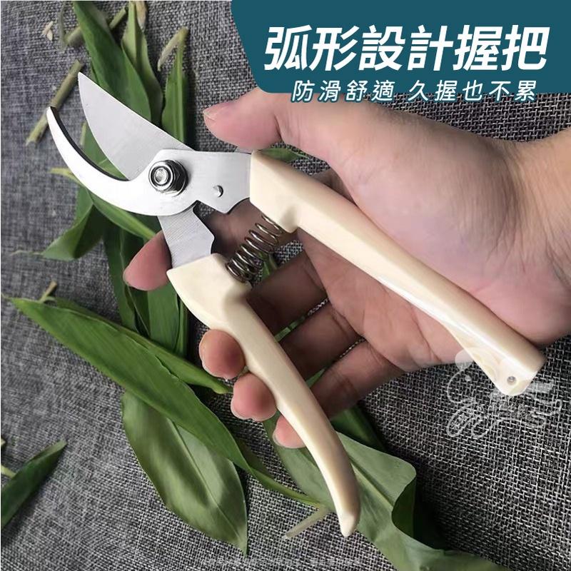 大信百貨》不鏽鋼 修枝剪刀【新品特價】採果剪 檳榔剪刀 果樹剪 花枝剪 修枝剪 粗枝剪刀 樹枝剪 花剪-細節圖3