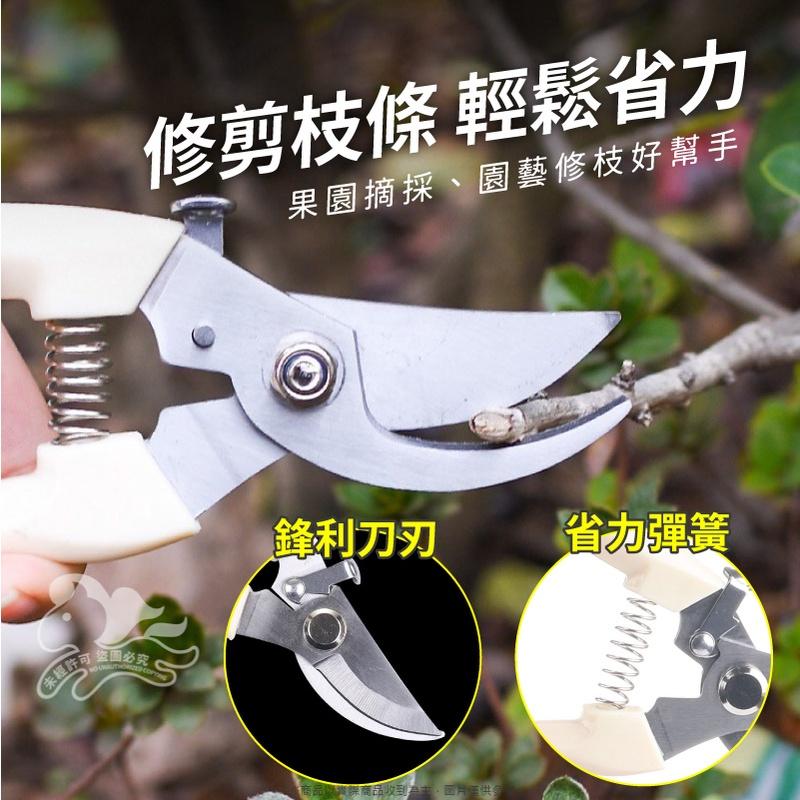 大信百貨》不鏽鋼 修枝剪刀【新品特價】採果剪 檳榔剪刀 果樹剪 花枝剪 修枝剪 粗枝剪刀 樹枝剪 花剪-細節圖4