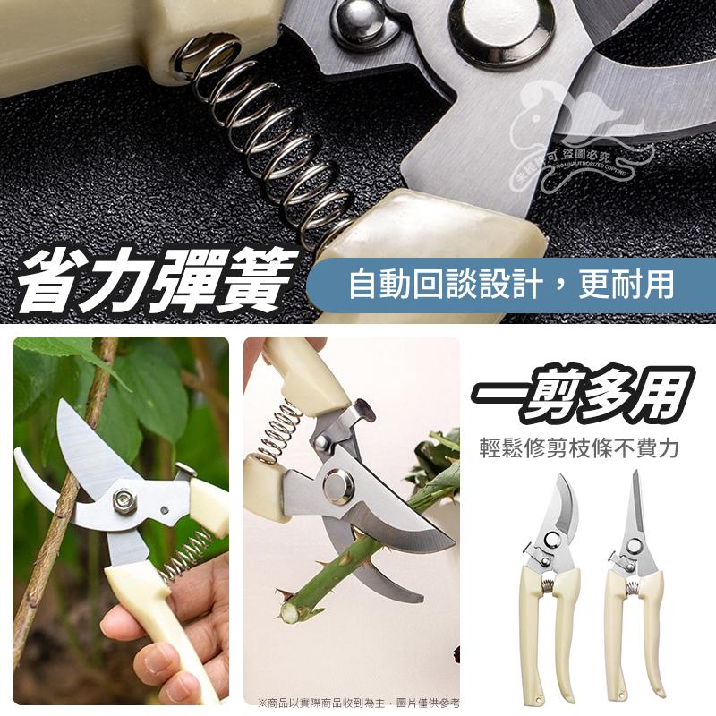 大信百貨》不鏽鋼 修枝剪刀【新品特價】採果剪 檳榔剪刀 果樹剪 花枝剪 修枝剪 粗枝剪刀 樹枝剪 花剪-細節圖6