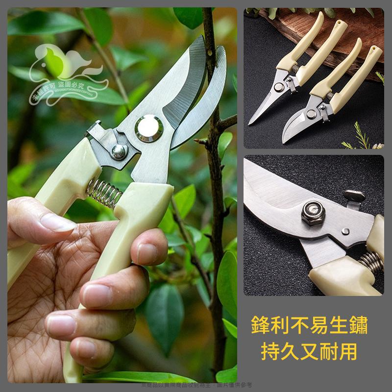 大信百貨》不鏽鋼 修枝剪刀【新品特價】採果剪 檳榔剪刀 果樹剪 花枝剪 修枝剪 粗枝剪刀 樹枝剪 花剪-細節圖7