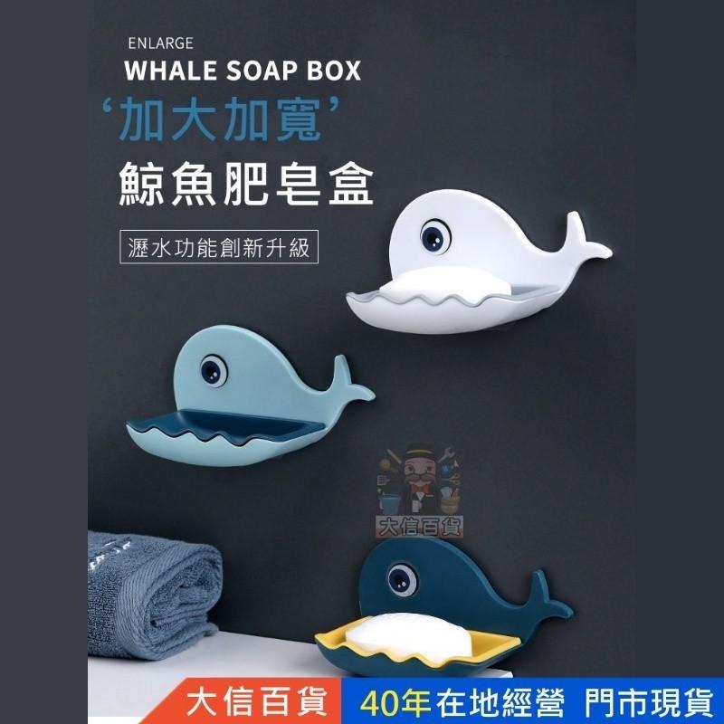 大信百貨》小鯨魚 無痕瀝水皂盒 無痕雙色肥皂架 瀝水 肥皂盒 壁掛皂盒 瀝水香皂盒 香皂架-細節圖2