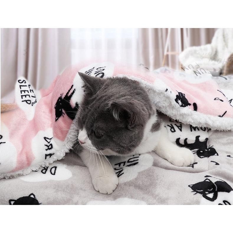 👉艾希特之心👈大尺寸寵物毛毯 寵物被子 法蘭絨毯  寵物窩 睡毯 寵物睡窩 寵物珊瑚絨毯 冬季必備 寵物毯 珊瑚絨毯-細節圖4