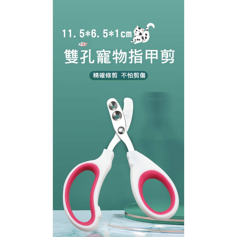 👉艾希特之心👈寵物剪刀 寵物指甲剪 指甲剪 雙孔指甲剪 防剪血線 指甲刀 寵物安全剪 寵物磨甲 貓指甲剪 指甲護理-細節圖4