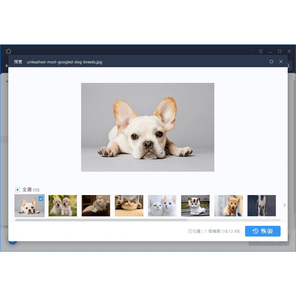 EaseUS Data Recovery救回重要資料誤刪檔案 硬碟救援軟體-細節圖6
